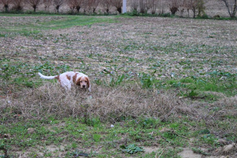Greta a 3 mesi