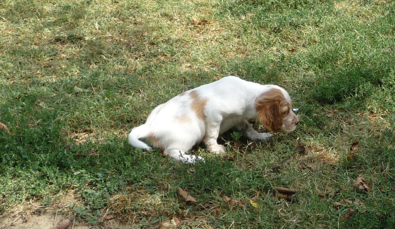 Greta a 30 giorni