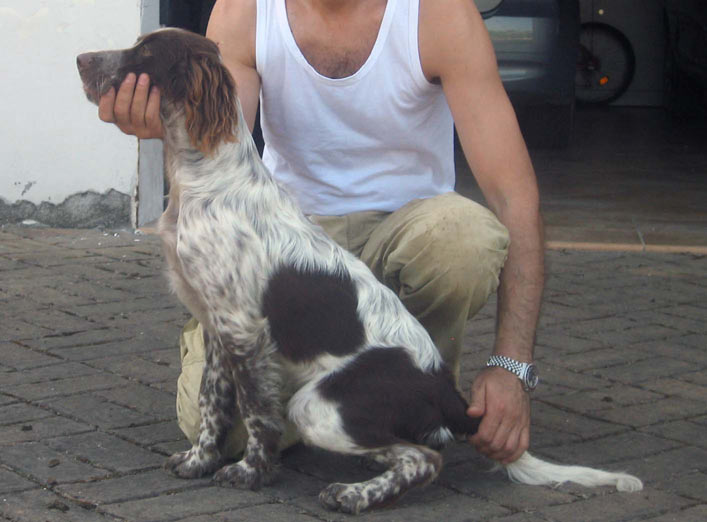 ARIA DI DAVIDE BELLONI
